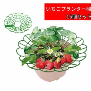 15個セット イチゴ棚 いちごプランター棚  植物支え プラスチック製 簡単に組立 苺苗棚 栽培棚 支え棚 園芸支柱 イチゴ トマト ナス イチ