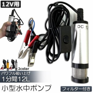 水中ポンプ 12V 小型 ウォーターポンプ 12L/min セットあります 2カラー バッテリークランプ 電動 ポンプ ケーブル 3ｍ スイッチ式 強力 