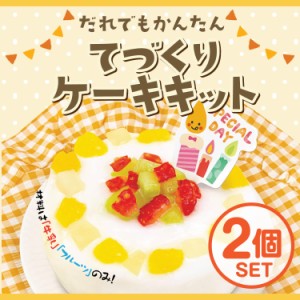 エジソンママ だれでもかんたん 【てづくりケーキキット】2個セット おやつ 手作り キット プレゼント 手作りキット 子供 おうち遊び 記