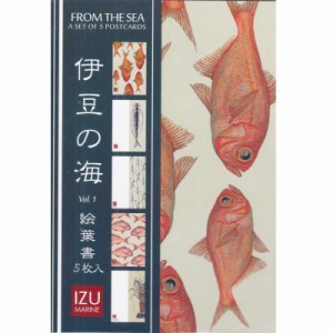 cicada 5枚入り絵葉書 伊豆の海 Vol.1 FROM THE SEA ポストカード 金目鯛 サヨリ 伊勢海老 サバの干物 稚鯛 ラッセル ウィルス Russel Wi