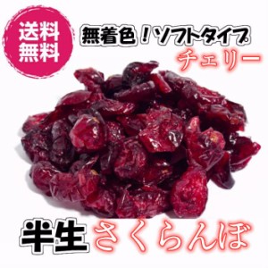 送料無料！アメリカ産のサクランボ　レッドチェリー（ビングチェリー）　半生ドライチェリー　贅沢の250g