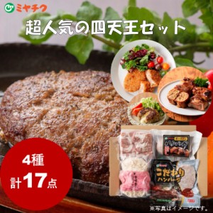 39 超人気の四天王セット｜和牛 ハンバーグ 餃子 コロッケ 惣菜 ギフト 贈答用 お中元 送料無料 ミヤチク 