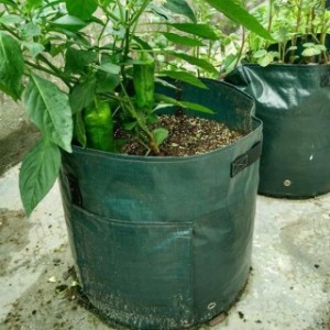 植木鉢 2個 プランター  じゃがいも用　栽培 バッグ  深鉢 栽培バッグ 園芸ガーデン  ダークグリーン ガーデン栽培袋 丸い布鉢 軽量