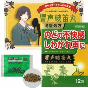 【第2類医薬品】響声破笛丸 12包 のど しわがれ声 カラオケ ガラガラ声 ここ一番に 不快感 漢方 生薬