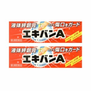 【第三類医薬品】エキバンA 10ｇ ２個セット 液体絆創膏 あかぎれ さかむけ 切り傷 小さな傷口をガード