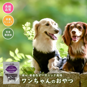 ドッグフード ワンちゃん の おやつ 紫芋 30g 国産 干し芋 有機栽培 オーガニック ペットフード お菓子 無添加 グレインフリー ポイント