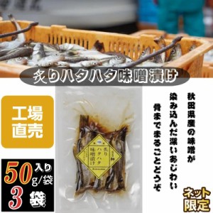 秋田伝統食材【炙りハタハタ味噌漬け】5０g /袋×３袋セット【産地直送】【送料無料】