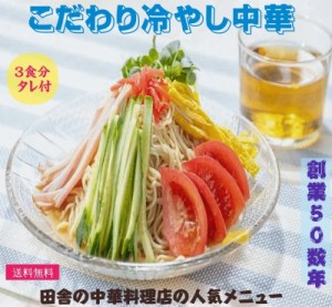 【ラーメン】【こだわり冷やし中華/３食分 タレ付】 山形県飯豊町産【送料無料】