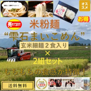 岩手県雫石産【米粉麺】雫石まいこめん 『玄米細麺2食入り（めんつゆ付き）×2組セット』【送料無料】