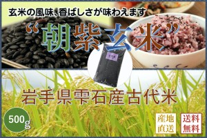 岩手県雫石産【古代米：朝紫玄米 】５００g/袋【送料無料】