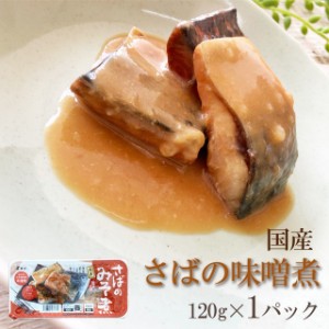 国産 【さばのみそ煮 （120g×1袋）鮮冷】保存料・化学調味料不使用  メール便