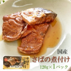 国産 【さばの煮付 （120g×1袋）鮮冷】保存料・化学調味料不使用 メール便