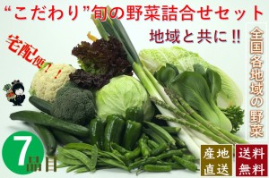 こだわり旬の野菜詰合せセット【７種類】宅配サービス【送料無料】