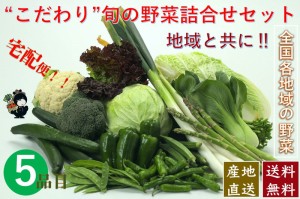 こだわり旬の野菜詰合せセット【５種類】宅配サービス【送料無料】