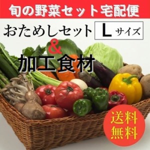 お試し旬の野菜＆加工食材：詰合せセット【Lセット（９〜１２種類）】「３〜５人向き」宅配サービス【送料無料】