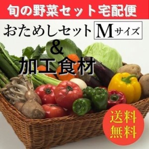 お試し旬の野菜＆加工食材：詰合せセット【Mセット（８〜９種類）】「２〜４人向き」宅配サービス【送料無料】