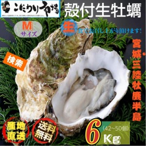 牡蠣 宮城県三陸・牡鹿半島産 殻付き生牡蠣 Mサイズ 6kg /箱 産地直送 送料無料