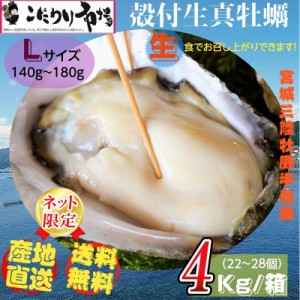 牡蠣 宮城県三陸・牡鹿半島産 殻付き生牡蠣 Lサイズ 4kg /箱 産地直送 送料無料