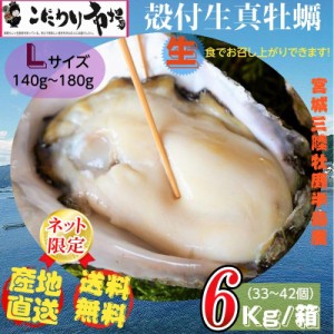 牡蠣 宮城県三陸・牡鹿半島産 殻付き生牡蠣 Lサイズ 6kg /箱 産地直送 送料無料