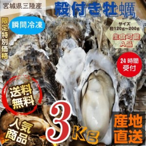 牡蠣 三陸産雄鹿半島 生食可能 殻付き冷凍牡蠣 ３kg /箱 A品 送料無料