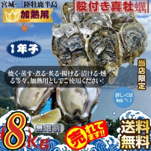 宮城県三陸・牡鹿半島産 加熱用 殻付き生牡蠣:一年子 8kg /箱 産地直送 送料無料