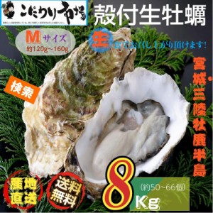 牡蠣 宮城県三陸・牡鹿半島産 殻付き生牡蠣 Mサイズ 8kg /箱 産地直送 送料無料