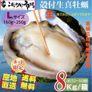 牡蠣 宮城県三陸・牡鹿半島産 殻付き生牡蠣 Lサイズ 8kg /箱 産地直送 送料無料