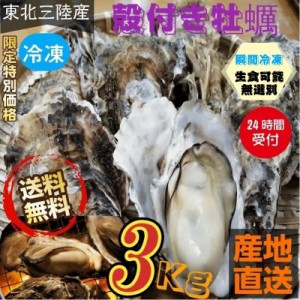 宮城県三陸産 牡蠣 生食可能 殻付き冷凍牡蠣 ３kg /箱 無選別 送料無料