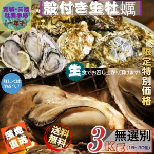 宮城県三陸 牡鹿半島産 殻付き生牡蠣 無選別 ３kg /箱 産地直送 送料無料