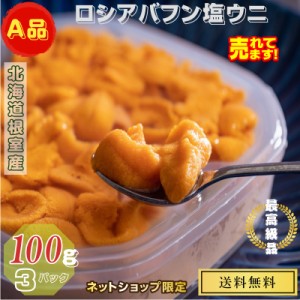 ウニ 北海道根室産 ロシアバフン塩水ウニ A品 100g/P×３パック 産地直送 送料無料