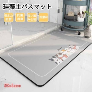 バスマット ソフト 40x60cm 中判 吸水 速乾 足ふきマット 足拭きマット 浴室 キッチン お風呂 バス 軽量 軽い 薄い おしゃれ 吸水 室内 