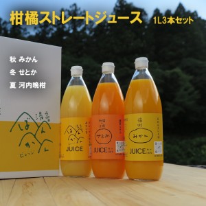 夏ギフト３種類の柑橘ジュース みかん・せとか・河内晩柑 ３本セット(1本1000ml)【贅沢な果汁100％】