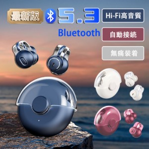 ワイヤレスイヤホン Bluetooth 5.3 ブルートゥースイヤホン タッチ制御 左右分離型 防水 最大8時間持続再生 Hi-fi 超軽量 耳掛け式 プレ
