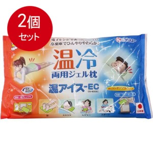 【2個まとめ買い】 温冷両用ジェル枕 温アイス-EC 600g 送料無料 × 2個セット