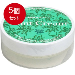 【5個まとめ買い】 北見ハッカ ミントクリーム 馬油保湿クリーム 20g メール便送料無料 × 5個セット