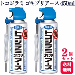 第2類医薬品 2個セット アース製薬 トコジラミゴキブリアース 450ml 殺虫スプレー 殺虫剤