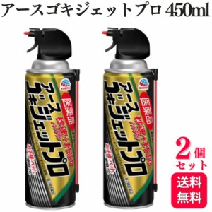 第2類医薬品 2個セット アース製薬 医薬品ゴキジェットプロ 450ml 殺虫スプレー