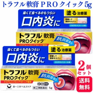 指定第2類医薬品 2個セット 第一三共ヘルスケア トラフル軟膏 PRO クイック 5g 口内炎