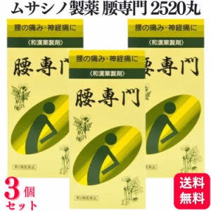 第2類医薬品 3個セット ムサシノ製薬 腰専門 2520丸 腰痛 関節痛