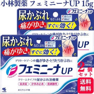 第2類医薬品 2個セット 小林製薬 フェミニーナ UP 15g 尿かぶれ かゆみ止め