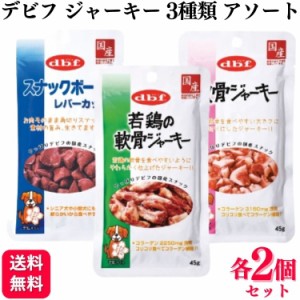 3種セット  デビフペット おやつ 各2個 スナックボーイ 軟骨ジャーキー 45g 3種類アソートセット スナックボーイ レバーカット 若鶏の軟