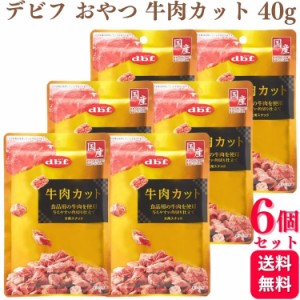 6個セット  デビフペット 牛肉カット 40g デビフ おやつ