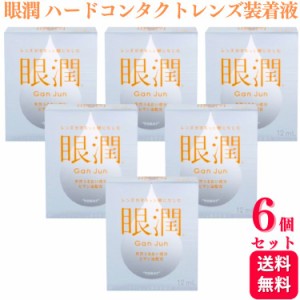 6個セット  眼潤 がんじゅん ハードコンタクトレンズ 装着液 12ml 医薬部外品 コンタクト ハード用