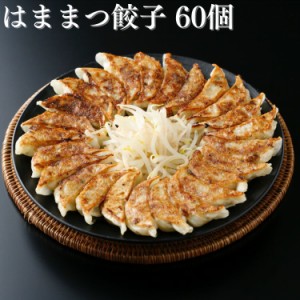 はままつ餃子 60個 餃子の街 浜松 野菜たっぷり 国産豚肉使用 送料無料