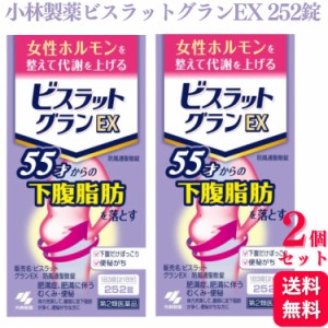 第2類医薬品 2個セット 小林製薬 ビスラットグランEX 252錠 防風通聖散錠