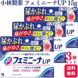 第2類医薬品 3個セット 小林製薬 フェミニーナ UP 15g 尿かぶれ かゆみ止め