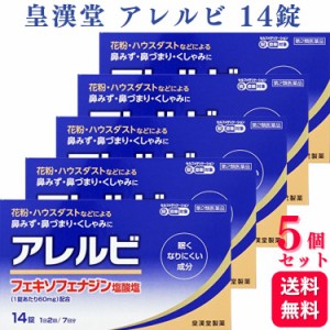 第2類医薬品 5個セット 皇漢堂 アレルビ 14錠 鼻炎薬 アレルギー