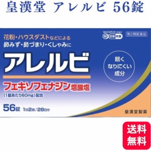 第2類医薬品 皇漢堂 アレルビ 56錠 鼻炎薬 アレルギー