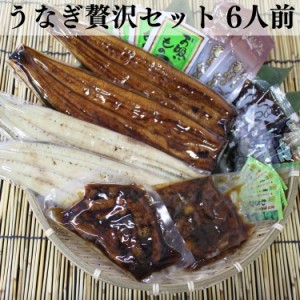 浜松 浜名湖 うなぎ贅沢セット 6人前 うなぎ蒲焼110g×2 うなぎ白焼110g×2 刻みうなぎ60g×2 たれ 山椒 ダシ わさび 醤油 刻み海苔 お吸