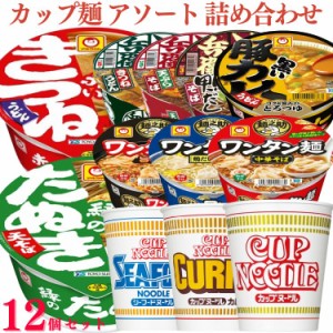 期限切迫品含む 12個セット  日清食品 カップヌードル  どん兵衛 マルちゃん 赤いきつね 緑のたぬき ワンタン麺 カップ麺 アソート 詰め